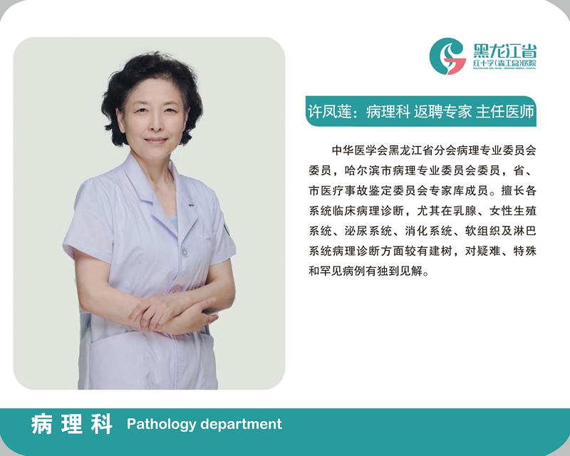 许凤莲