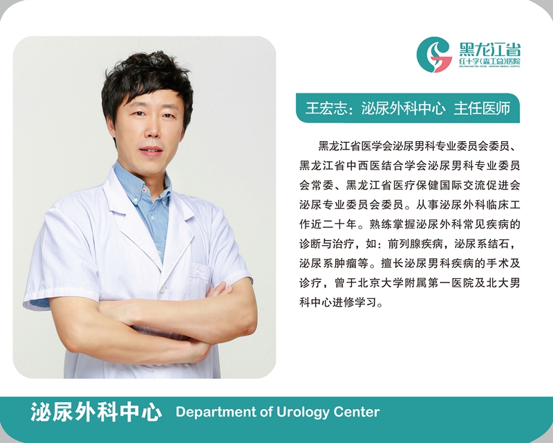 王宏志