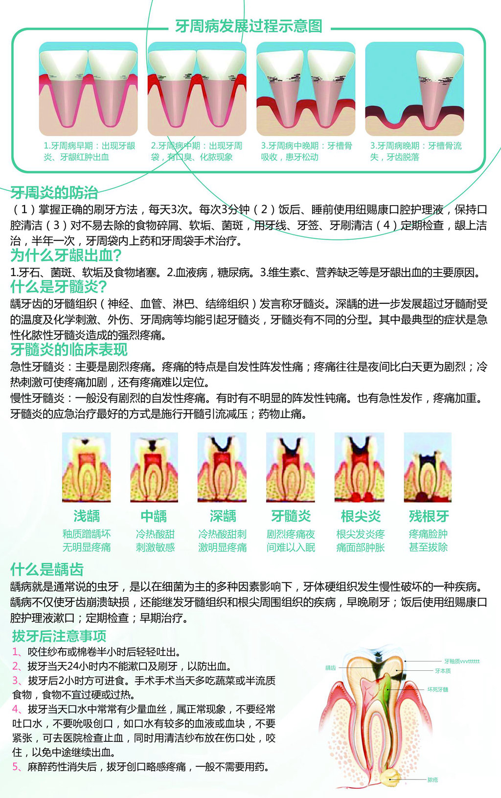 1614751587827432.jpg 口腔三折页 2_副本_副本.jpg