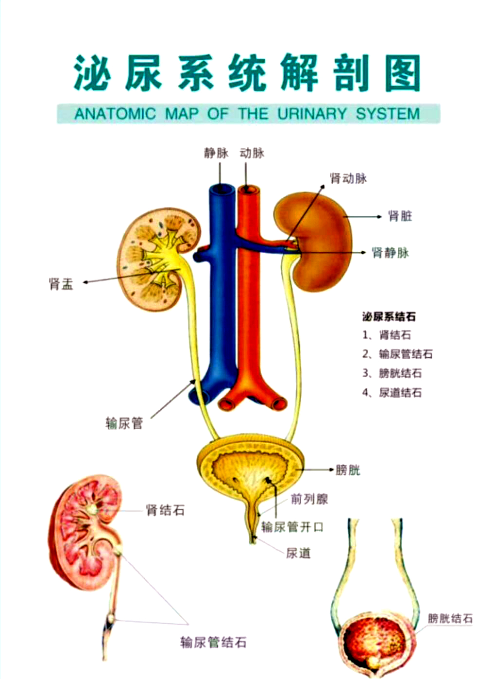 微信图片_20210309083109_副本.jpg