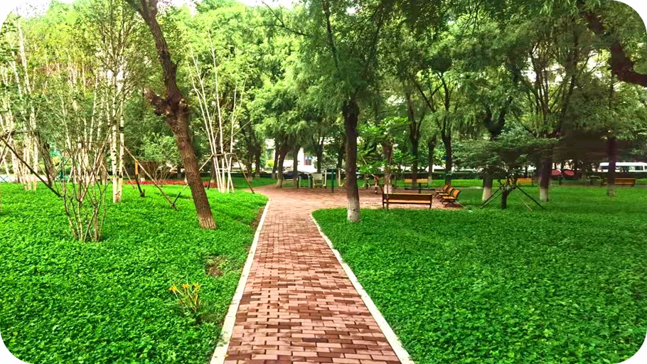 光影魔术手拼图910-512.jpg